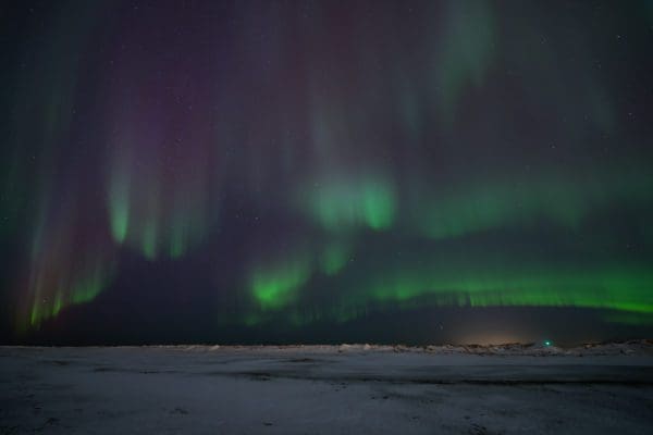 Auroresboréales-icelandicfrenchies-1