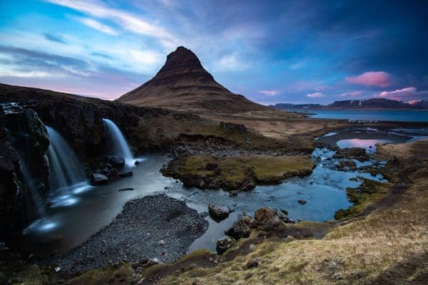 Snæfellsnes-icelandicfrenchies-1