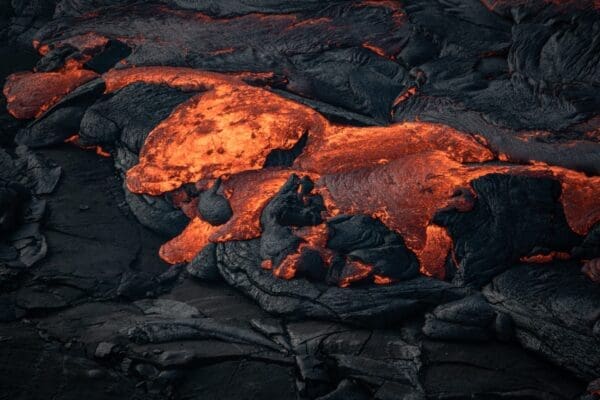 galerieMagma-icelandicfrenchies-11