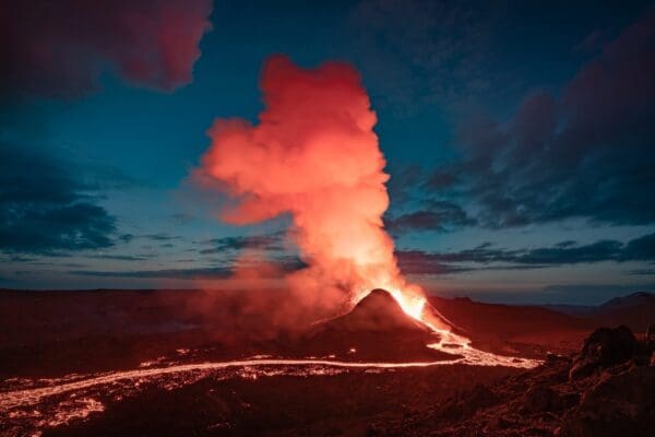 Concours-galerieMagma-icelandicfrenchies-9