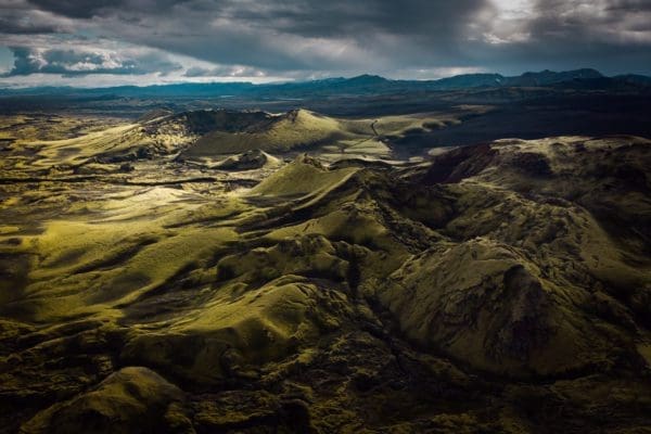 galerieVueDenHaut-icelandicfrenchies-12