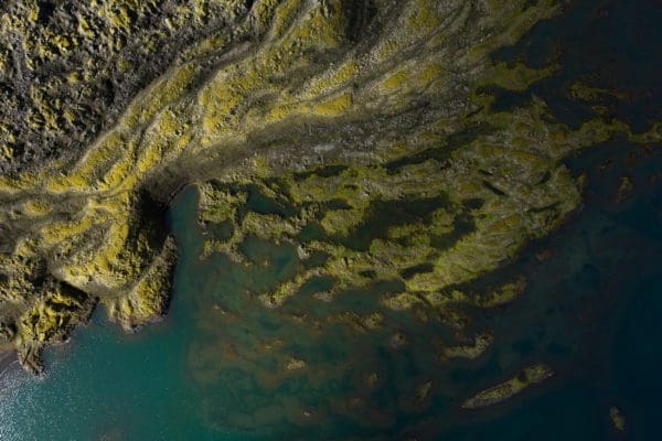 galerieVueDenHaut-icelandicfrenchies-13