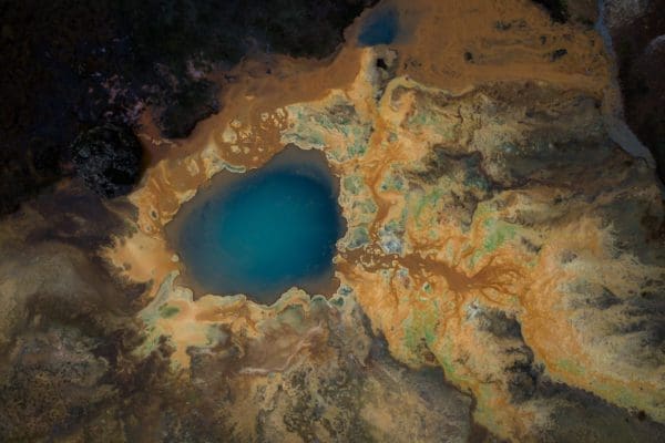 galerieVueDenHaut-icelandicfrenchies-15