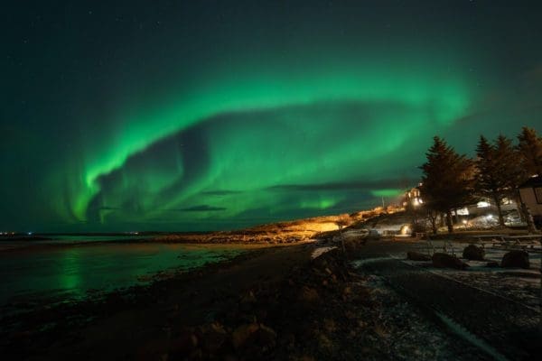 AuroresBor‚ales-icelandicfrenchies-2