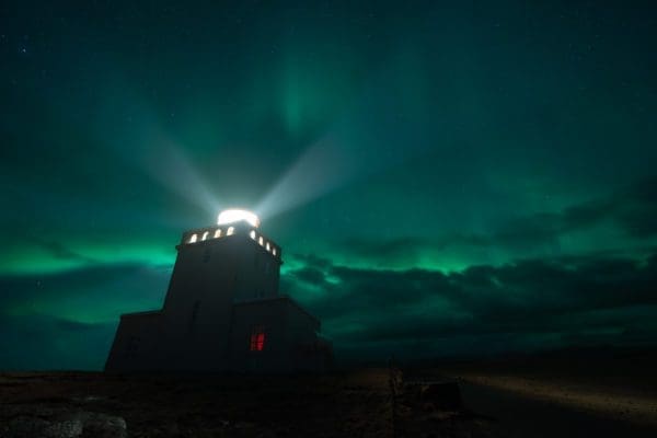 AuroresBor‚ales-icelandicfrenchies-6