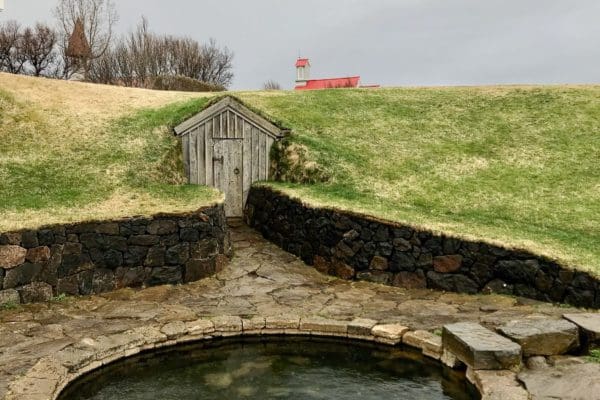 Borgarfjordur-icelandicfrenchies-4