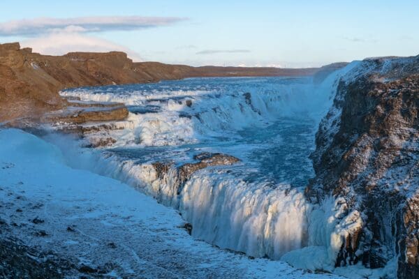 CercleDor-icelandicfrenchies-10