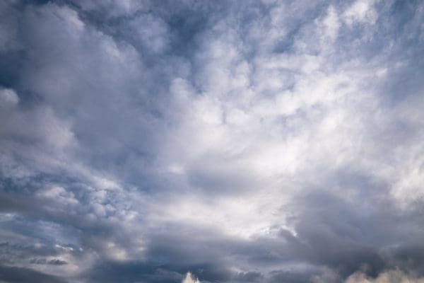 CercleDor-icelandicfrenchies-3