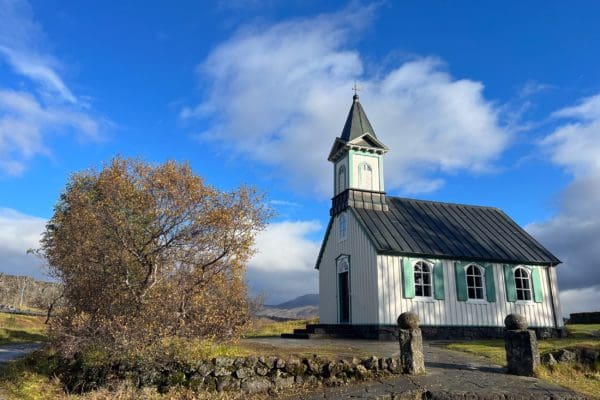 CercleDor-icelandicfrenchies-5