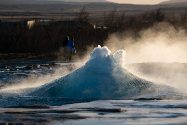 CercleDor-icelandicfrenchies-7