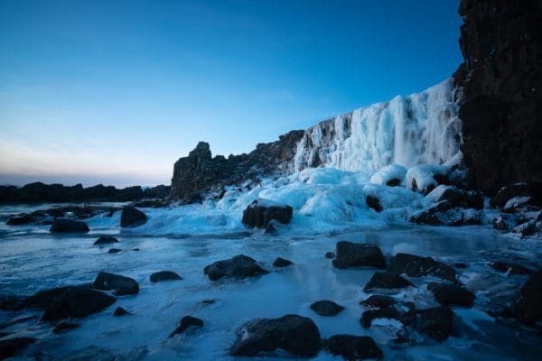 CercleDor-icelandicfrenchies-8