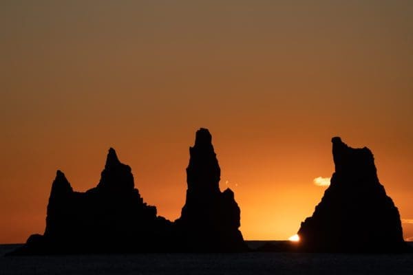 C“teSud-icelandicfrenchies-1-header