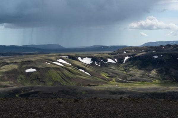 Laki-icelandicfrenchies-5