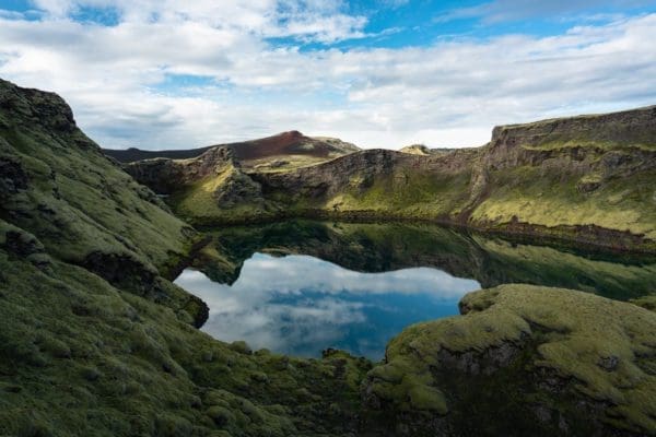 Laki-icelandicfrenchies-6