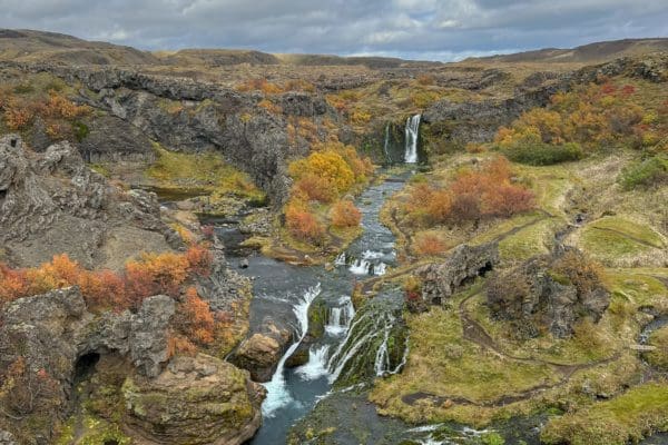 PortesDesHautesTerres-icelandicfrenchies-3