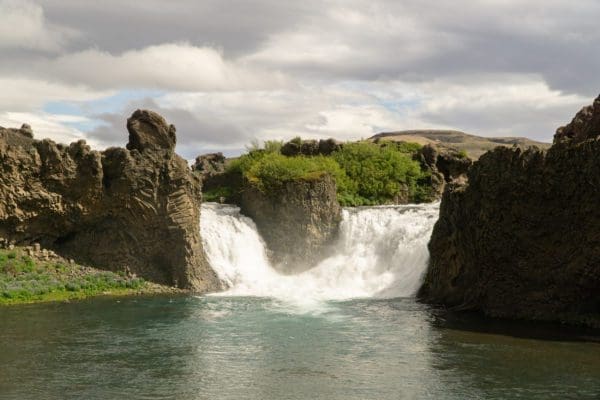 PortesDesHautesTerres-icelandicfrenchies-5