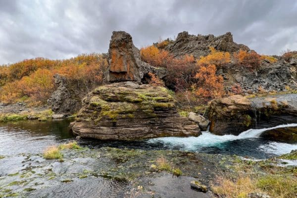 PortesDesHautesTerres-icelandicfrenchies-6