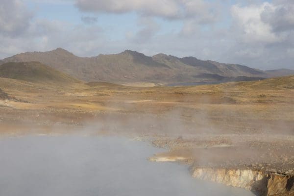 Reykjanes-icelandicfrenchies-3