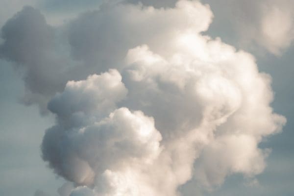 Reykjanes-icelandicfrenchies-4