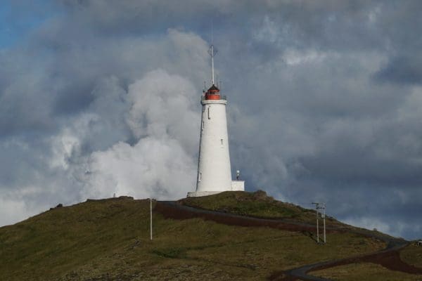 Reykjanes-icelandicfrenchies-5