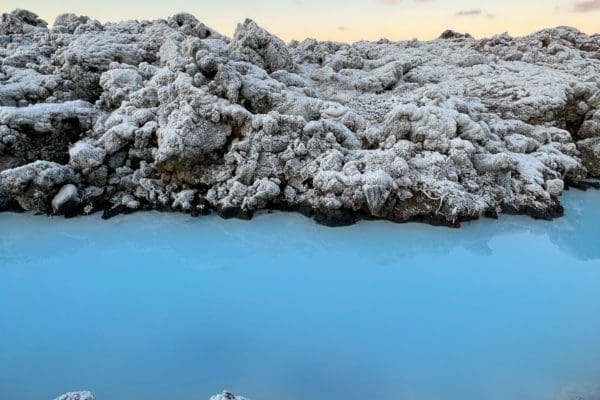 Reykjanes-icelandicfrenchies-6