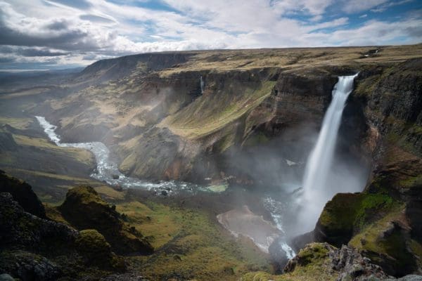 galerieH2O-icelandicfrenchies-10