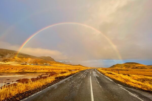 BlogMeteo-icelandicfrenchies-4