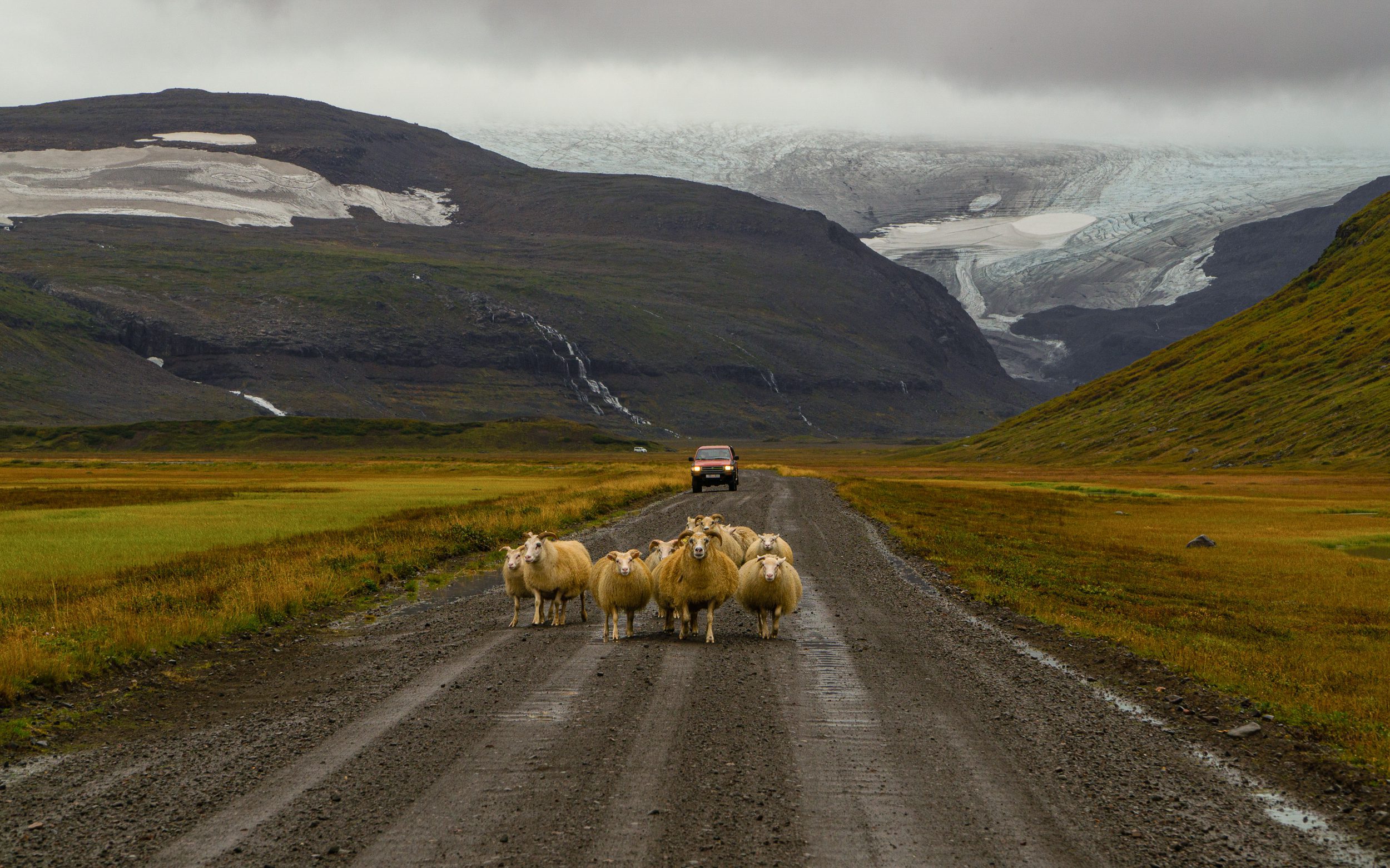 Conduire en Islande, ce qu’il faut savoir !