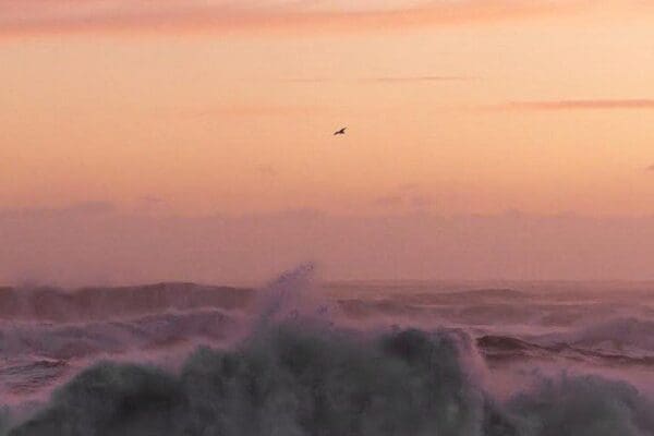 BlogPartirHiver-icelandicfrenchies-5