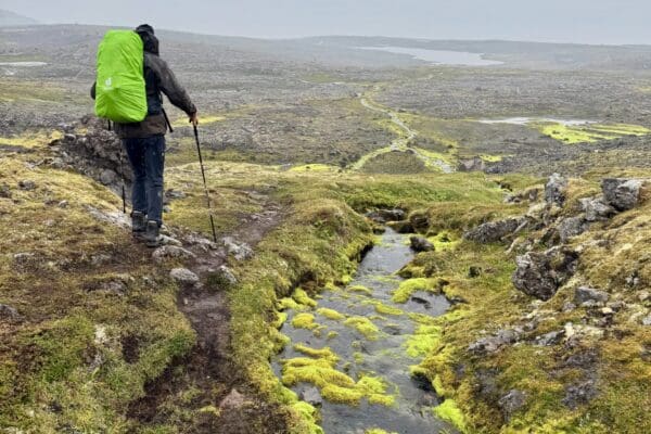 BlogHornstrandir-icelandicfrenchies-10