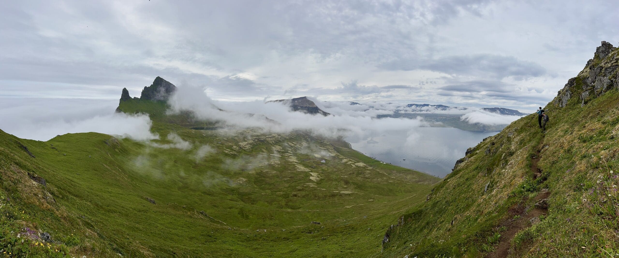 Hornstrandir, randonner au pays des renards polaires