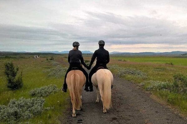 Balades et randonnées à cheval - cheval Islande