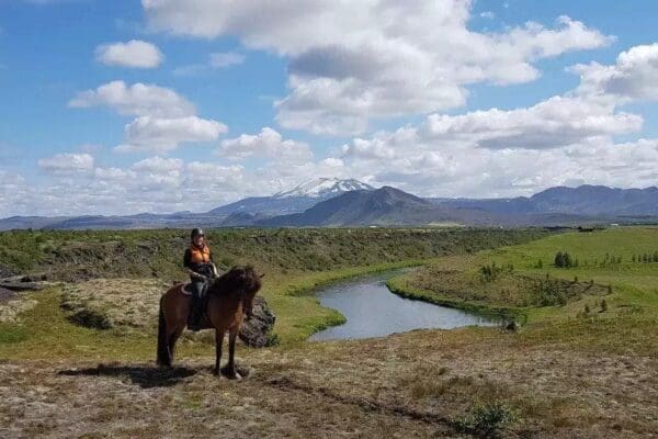 Balades et randonnées à cheval - cheval Islande