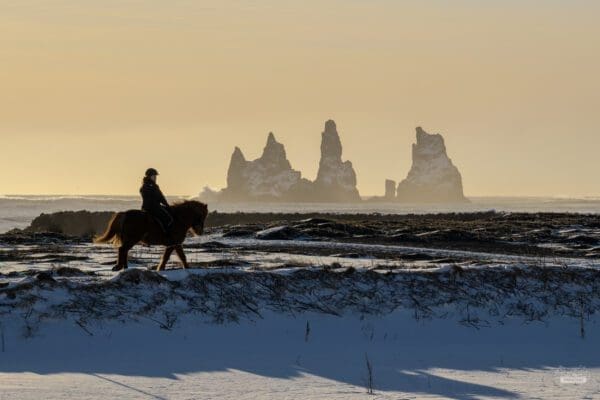 Balades et randonnées à cheval - cheval Islande