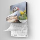 calendrier 2026 US-4