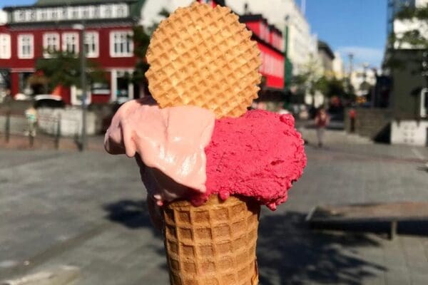 Blog-QueFaireReykjavík-icelandicfrenchies-3