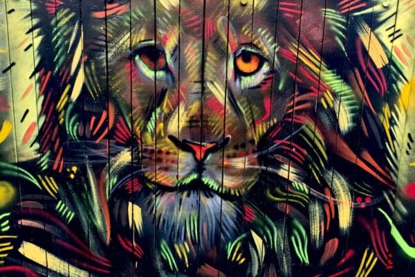 Blog-VisiteReykjavík-icelandicfrenchies-9